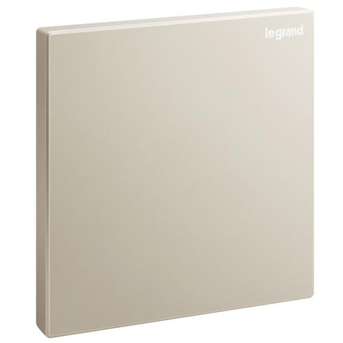 1 gang blanking plate - Champagne